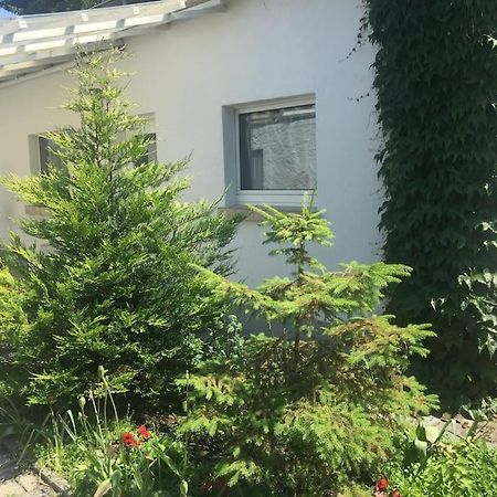 Kleines Haeuschen Am Garten In Darmstadt Exteriör bild